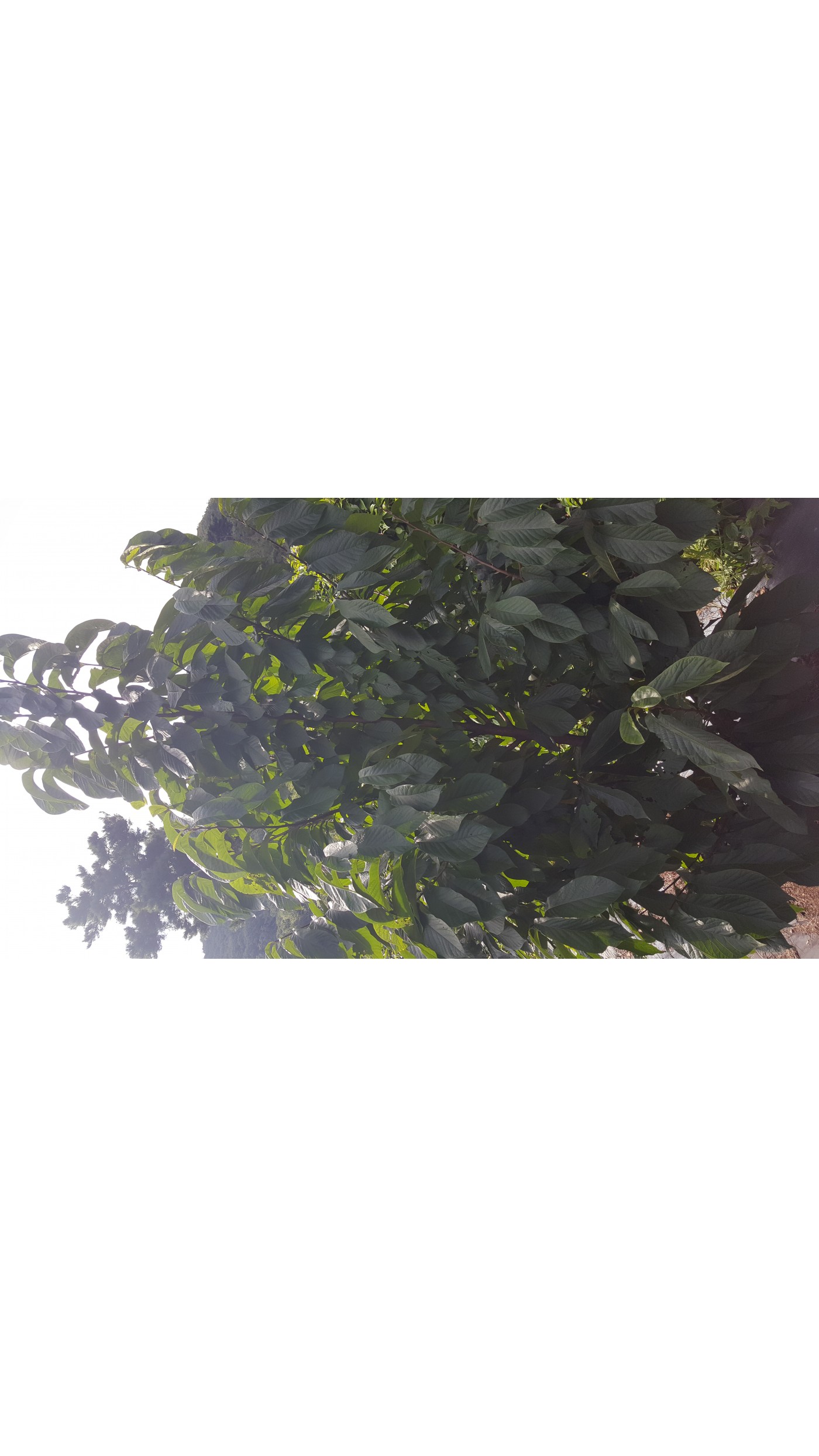 314c0c8465444b2ef468b74a91ad5818_1536230968_2102.jpg
