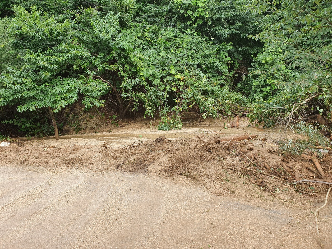 f55987a74de2af7bd7bf2ff9339420c4_1597099358_2687.jpg